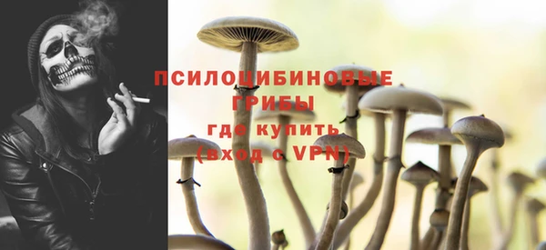 кокс Алексин