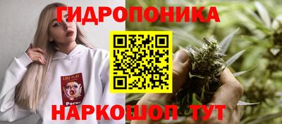 скорость Баксан