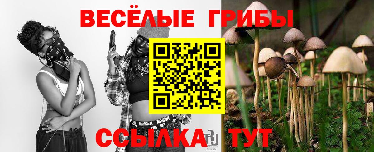 Псилоцибиновые грибы прущие грибы Курск