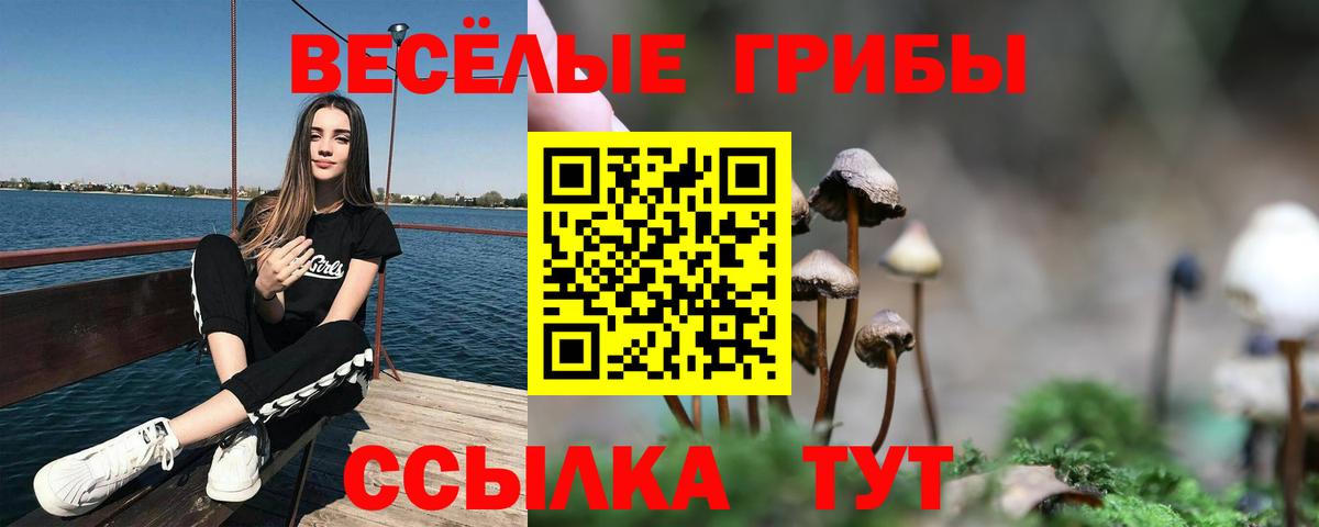 Курск  Псилоцибиновые грибы Magic Shrooms  Галлюциногенные грибы Magic Shrooms  Вход с VPN 